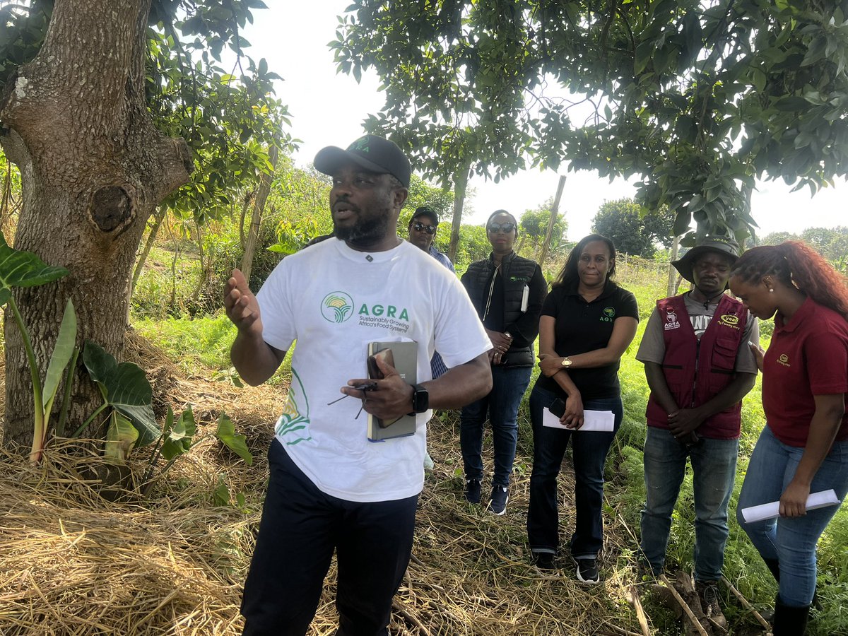 peterkagabo's tweet photo. Today @AGRA_Africa and @MastercardFdn 
visited #YEFFA beneficiary Mushimiyimana Peline in Nyagatare District. Through YEFFA, implemented by @YEAN_Agro , she grows passion fruits, carrots, cabbages, and greenhouse tomatoes, showcasing the impact of youth-led agribusiness. https://t.co/9vOs0h1tgP