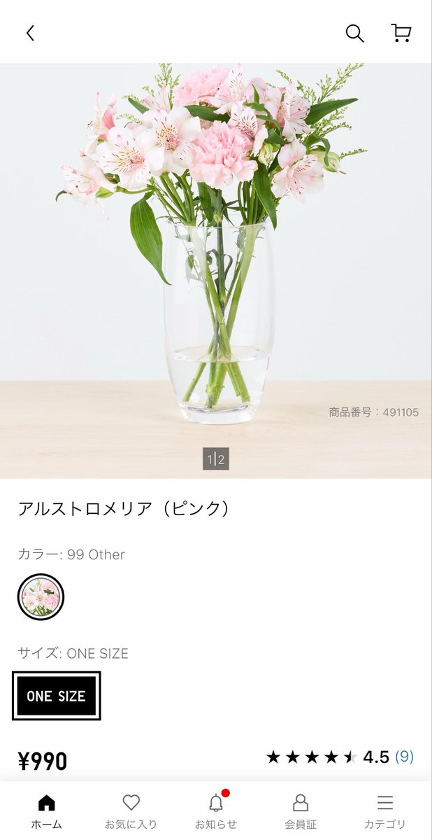 Merlot_17's tweet photo. 毎日持ってきてくれるアルストロメリア……✨️

ポ⃝チ⃝ッ⃝(ｏ'▽')σ՚՚凸 💐🚚💕 https://t.co/wmCahameTR