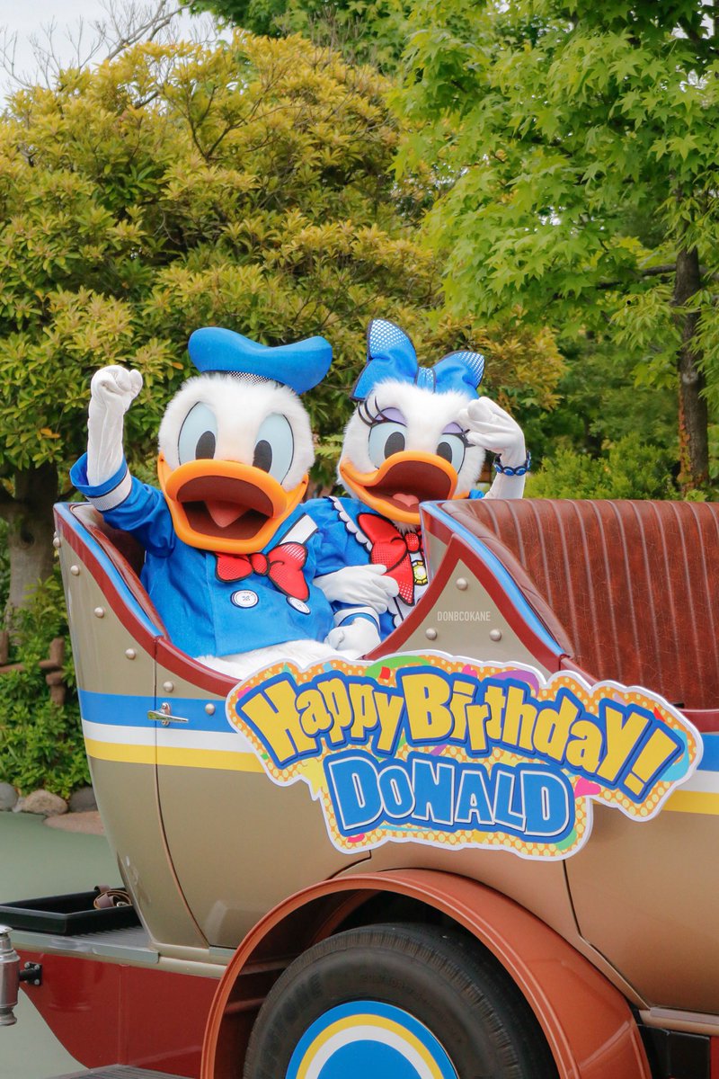 DONBCOKANE's tweet photo. ドナちゃん、そして遅くなっちゃったけどグーさんもお誕生日おめでとう🎂🎉💪🪿🐶💙 https://t.co/egnsUVS0vo
