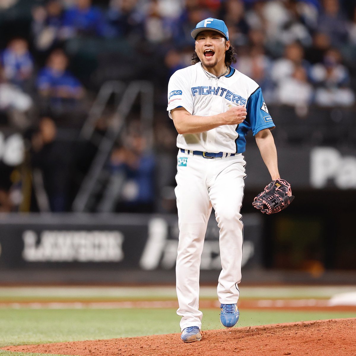 FightersPR's tweet photo. 今季最長5連勝！

エスコンフィールドでの
6連戦初戦は白星🌟

#ドミれ 
#lovefighters https://t.co/phsFy1YWEB