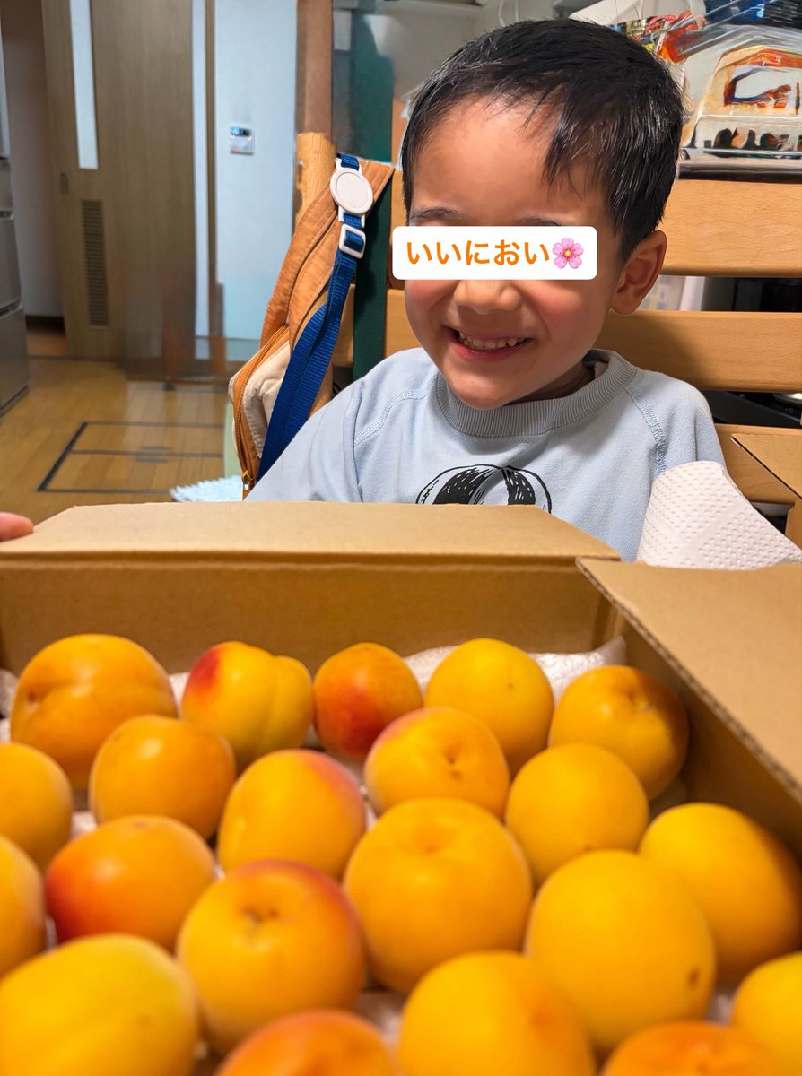 tellmamatanity's tweet photo. 梅ボーイズさんの超完熟梅が到着🤩
箱を開ける前からいい匂い！

「ママ！いい匂いがする！」
「洗うとプルプルに見える！」
「かわいい色だね！」
「見て！こんなにデッカいのあったよ！」

子どものリアクションがかわいくて
いつも以上に楽しかった\( *´•ω•`*)/

おいしくなーれ！

#梅ボーイズ https://t.co/U0rMp7Ws6D