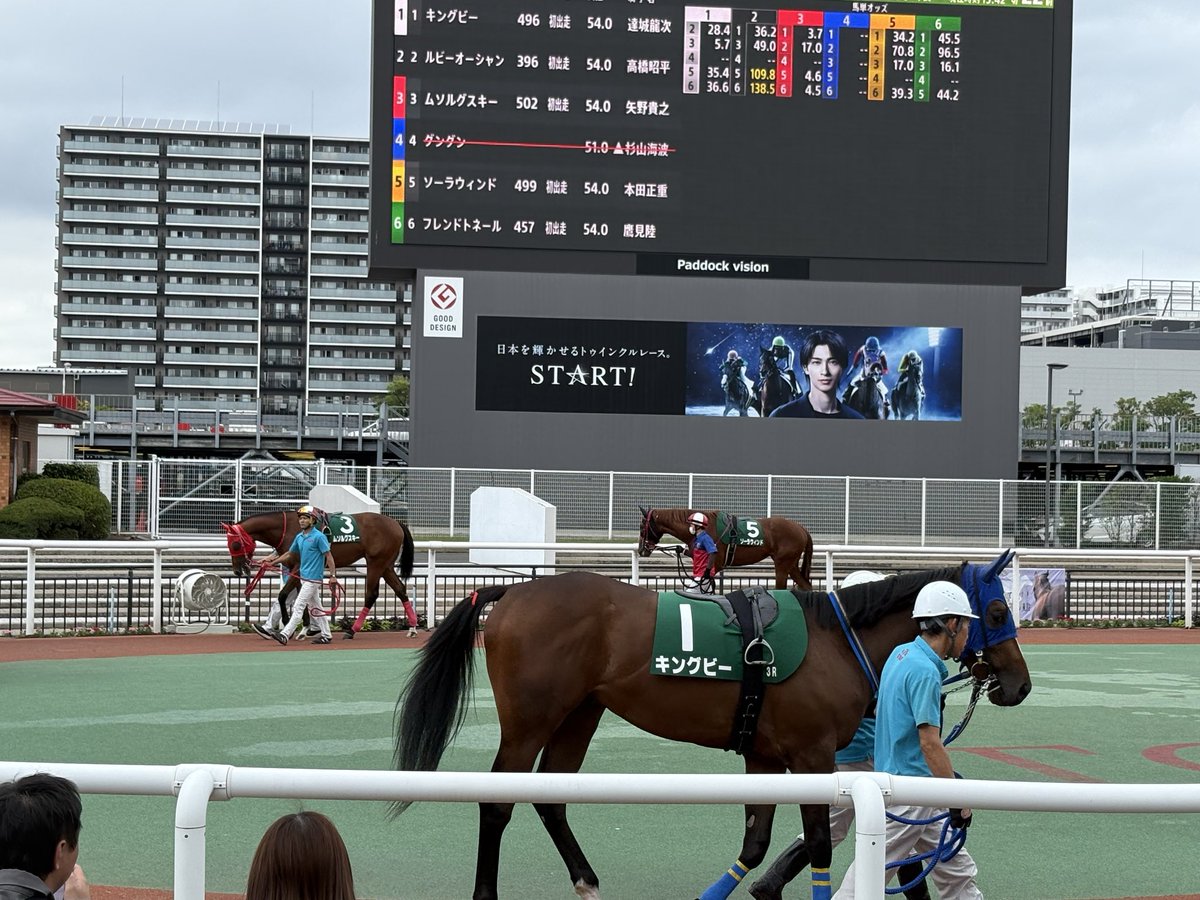 bowling0725's tweet photo. 大井競馬場🏇
２日連続行ってきた〜

楽しいし悔しい😫✨ https://t.co/spiPIeUqr5