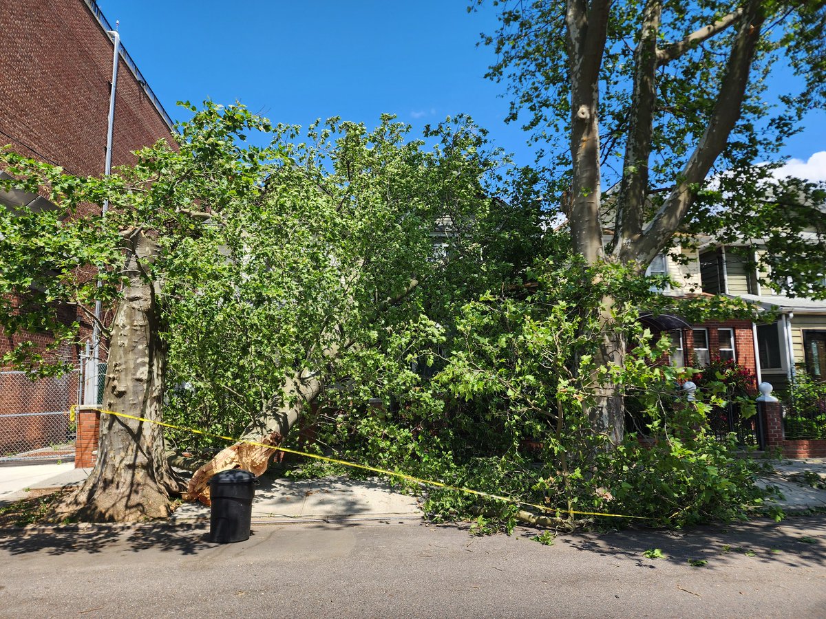 tyjay16's tweet photo. Day 3 the big tree is still hanging on my power line &amp; my house. Fdny said when we see sparks then they can come back. WTF Shouldn't it be the other way around 🤔 @nycgov @NYCMayor @NYCMayorsOffice @ConEdison @NYCParks @NYDailyNews @DanMannarino HELP!!! https://t.co/KynTltt2kM