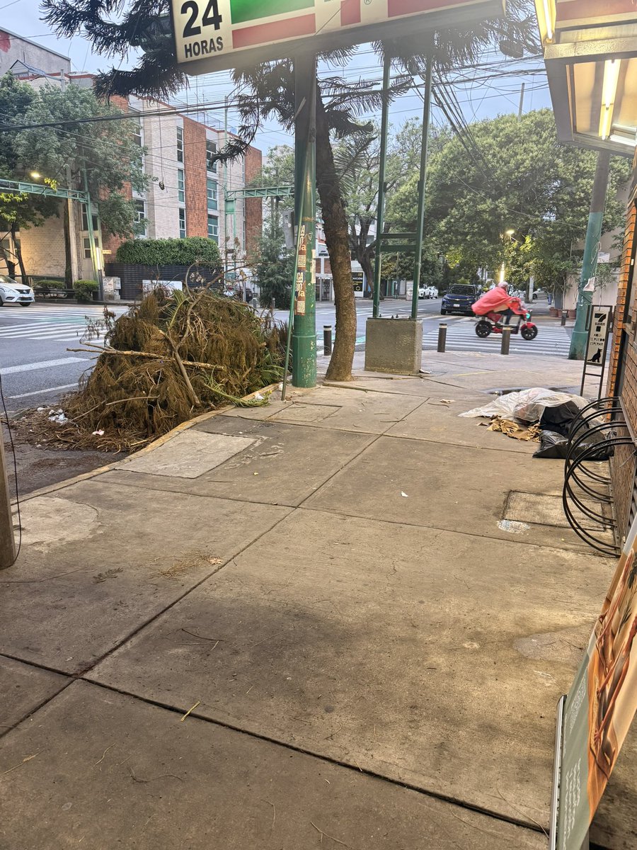 MC_RED's tweet photo. Urge apoyo para la recolección de basura en Parroquia esquina Gabriel Mancera, se está convirtiendo en un basurero, llevamos mucho tiempo reportando y solicitando apoyo @BJAlcaldia @locatel_mx @ddmexico_bj @MarioESanchezF https://t.co/2UF2lJNmNH