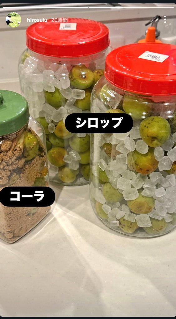 13_camera_13's tweet photo. 梅シロップを作っている夫の横で、

「それは、ネモも食べられる？🐾」と見つめてるの可愛い。じわじわ、じわじわ近づいてくるネモ氏🤣 https://t.co/QU2XDIIHA3