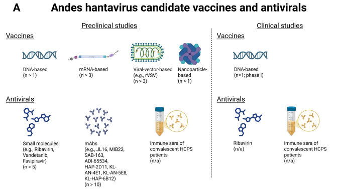 florian_krammer's tweet photo. A short overview of Andesvirus vaccines and therapeutics: https://t.co/4GHrgrA8rl https://t.co/whRitk45zZ