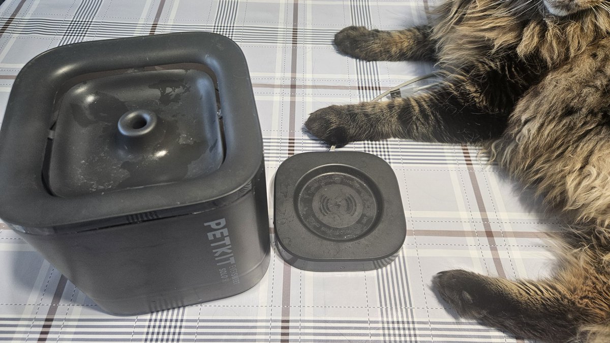 beIIami's tweet photo. друзі, такий вопріс: маю старий фонтанчик для котів, користувались пару місяців і перестали, бо коти його весь час перекидали + 2 оригінальні фільтри до нього
хочу віддати його якомусь притулку, щоб не займав вдома місце і пристроїти з користю, дайте наводку на тих кому таке нада https://t.co/RlGoWVSsvn