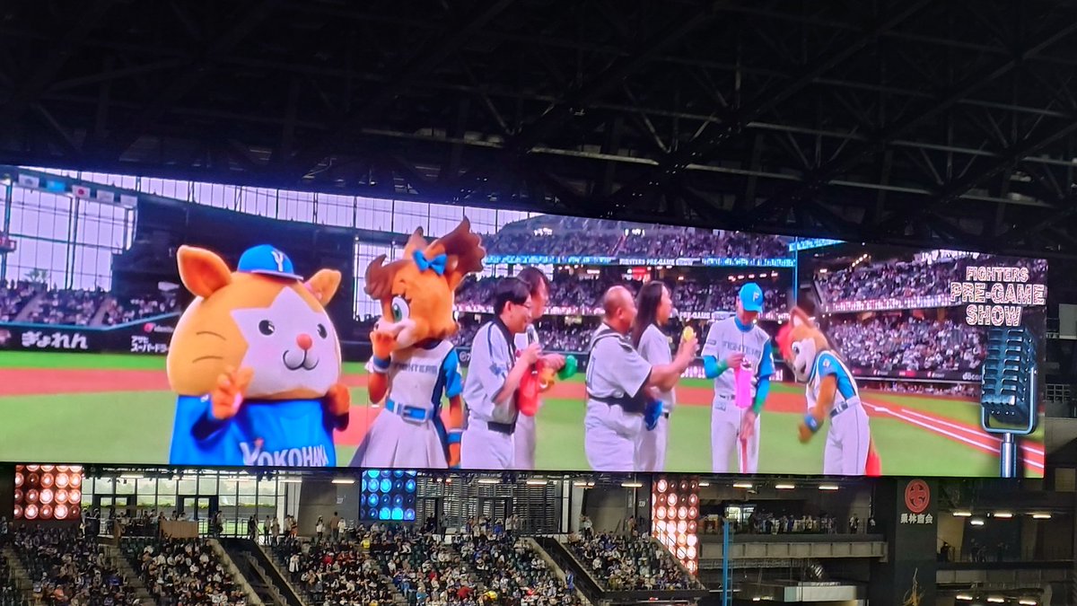 MasatoItou's tweet photo. エスコンフィールドinですので https://t.co/AI5I5C9ohb