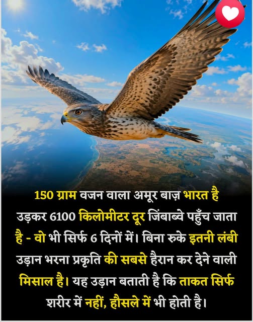 Manisardar's tweet photo. https://t.co/Tna9E42sAw