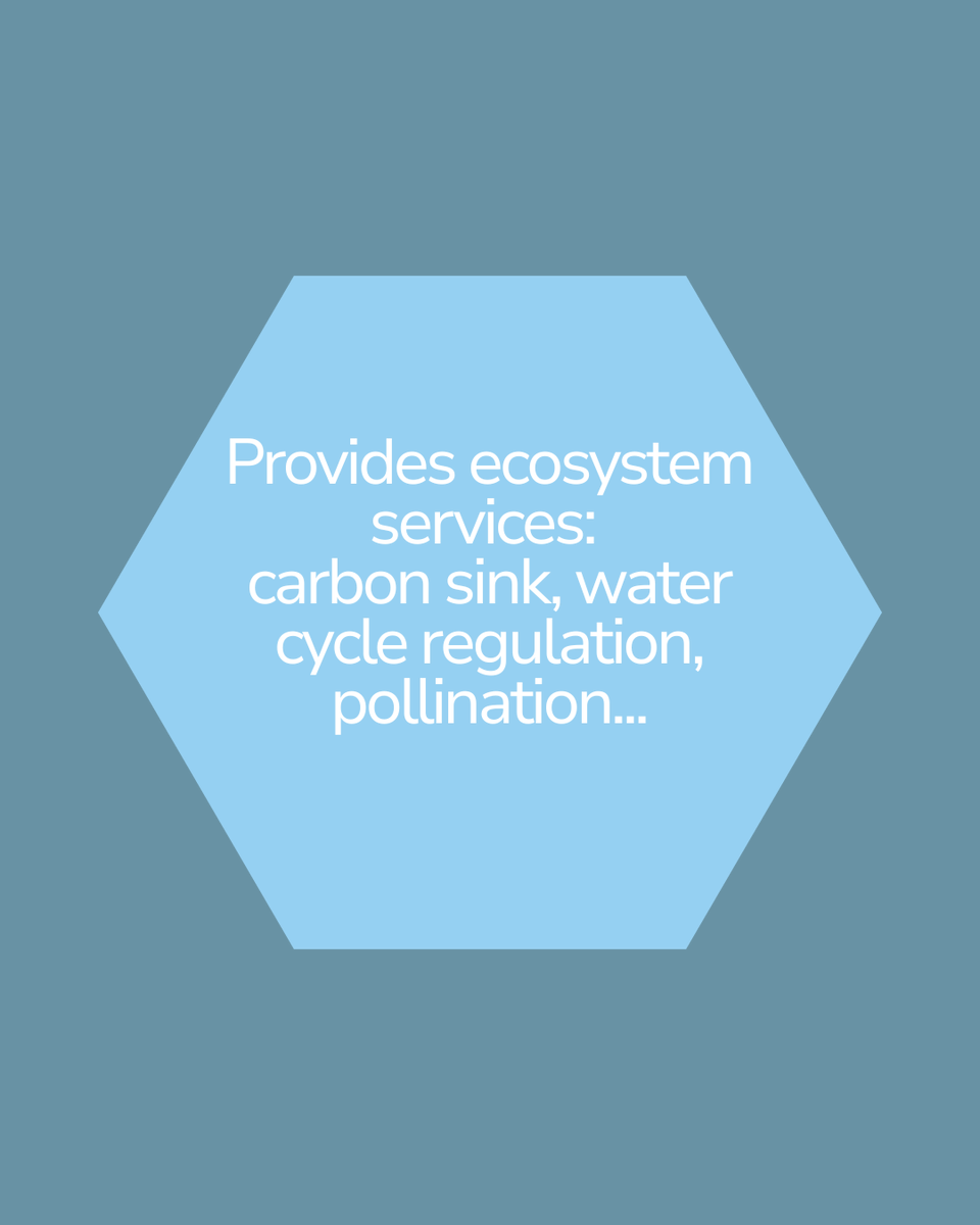 CIREMconference's tweet photo. 🌱Mine restoration isn’t an add-on: it’s planned from the very start of operations. The aim isn’t simply to leave behind a pretty landscape, but to ensure the ecosystem can function independently again https://t.co/LjG6QFXDeR #CIREM2026 #MineRestoration #ResponsibleMining https://t.co/Hhdc0zGrqM