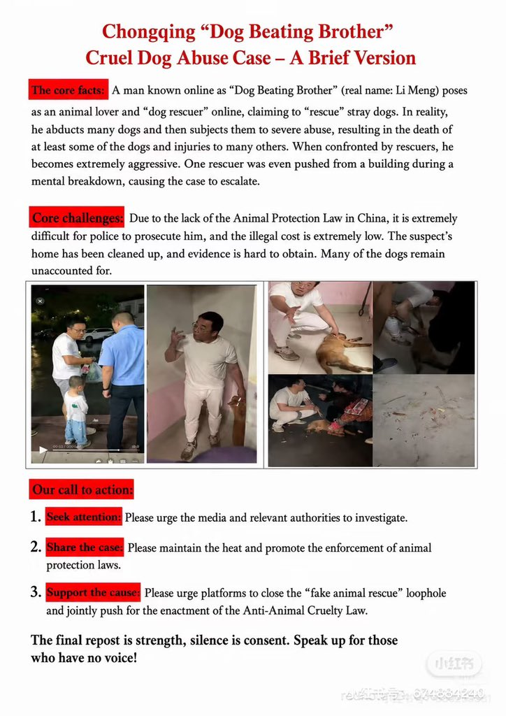 Zqyyyy6's tweet photo. Chongqing “Dog Beating Brother”

中国重庆虐狗事件 https://t.co/B4pWsxyXCr