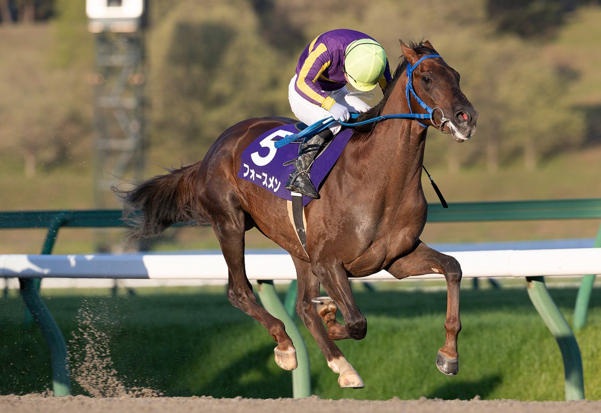 iwatekeiba's tweet photo. 🐴遠征情報─────────

⭐6/10（水）
⭐大井競馬場
フォースメン号が遠征します🏇

第72回 東京ダービー（JpnIダート2000ｍ）

https://t.co/5eHqFeWmWo

皆様、応援よろしくお願いします🏇✨✨✨✨ https://t.co/XjvfdHLlPo