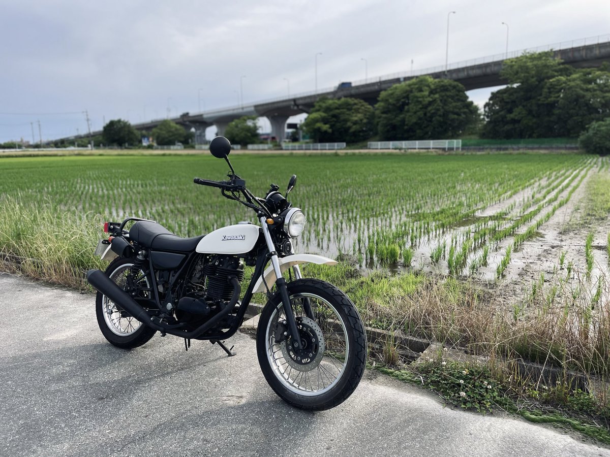 gb350tr's tweet photo. バッテリー充電して動かせるまでに！
あとは消耗品交換してあげないとだな〜 https://t.co/sUByX4s54h