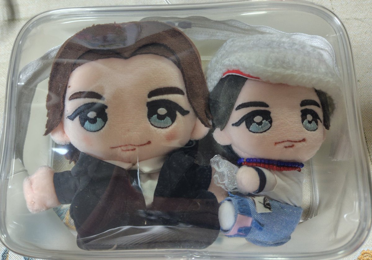 はぴぬいを入れていたケースに 中小大昇がすっぽり収まった！ なんか