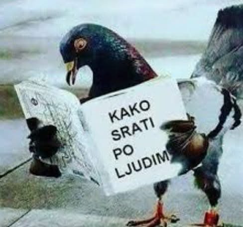 CadimirG's tweet photo. https://t.co/F9MVbwaWx5