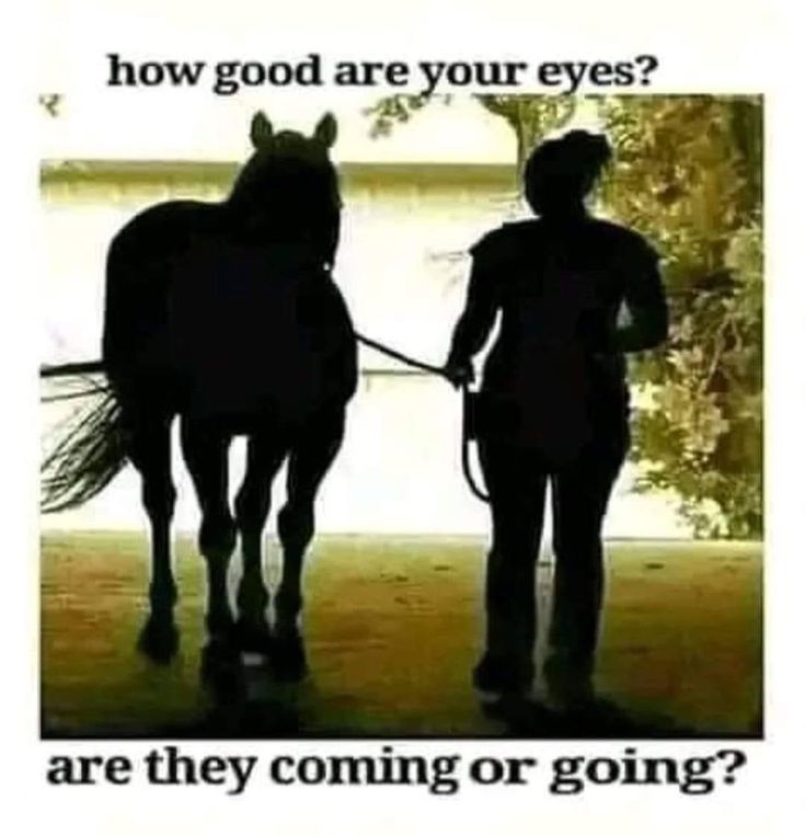 Smile_1Please's tweet photo. How Good are your Eyes 👀???

Are they coming or going??? https://t.co/KAYs2TCgVz