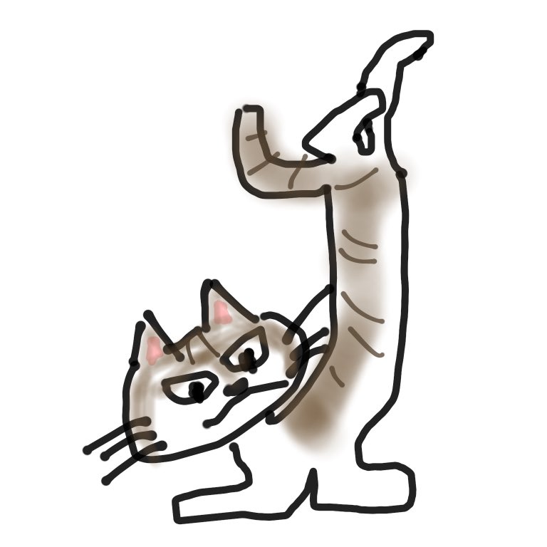 hana_lemon_1221's tweet photo. ”ねこかもしれない”シリーズに新メンバー「のびねこ」加入‼️🎉 https://t.co/NIXrPBBKps