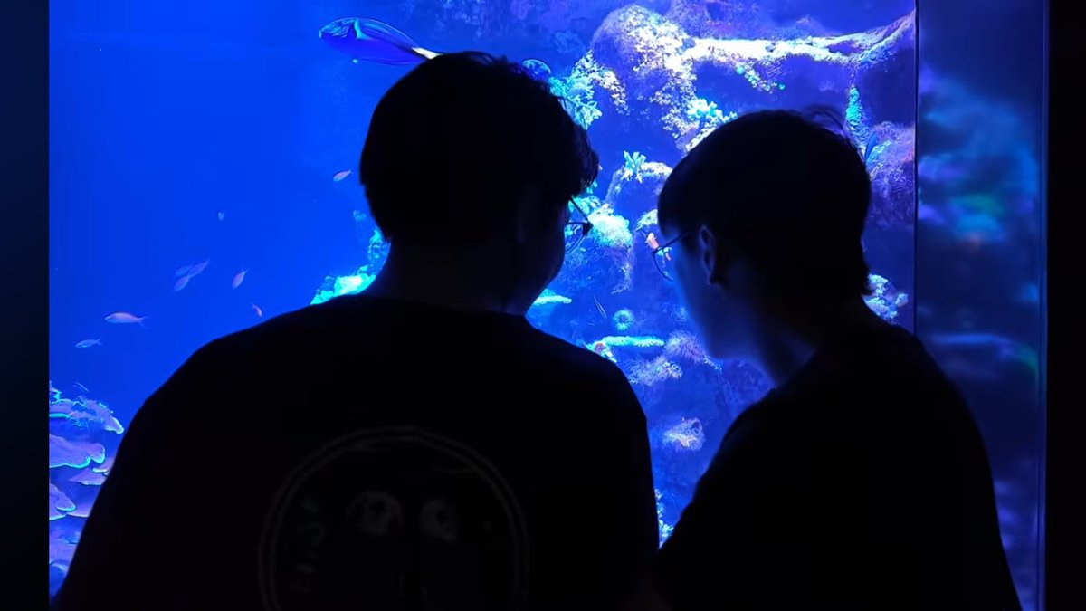 pamxmaq's tweet photo. จั๋งเอเอเซ็ตอวาเรียมที่แตกตื่นกันเมื่อวาน มาพร้อมกับไกลบ้านเทปที่สคปพอดี ที่เดียวกันเลยด้วย ละดูพี่ฟาฮ็อบมากเสื้อคู่มาเดท ส่วนฉันสภาพเดียวกับพี่ฟาตอนเห็นรูปคู่😳 https://t.co/wRMgfY4kHN