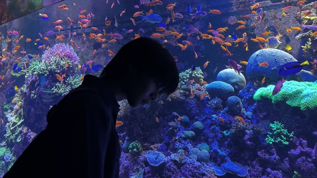 pamxmaq's tweet photo. จั๋งเอเอเซ็ตอวาเรียมที่แตกตื่นกันเมื่อวาน มาพร้อมกับไกลบ้านเทปที่สคปพอดี ที่เดียวกันเลยด้วย ละดูพี่ฟาฮ็อบมากเสื้อคู่มาเดท ส่วนฉันสภาพเดียวกับพี่ฟาตอนเห็นรูปคู่😳 https://t.co/wRMgfY4kHN