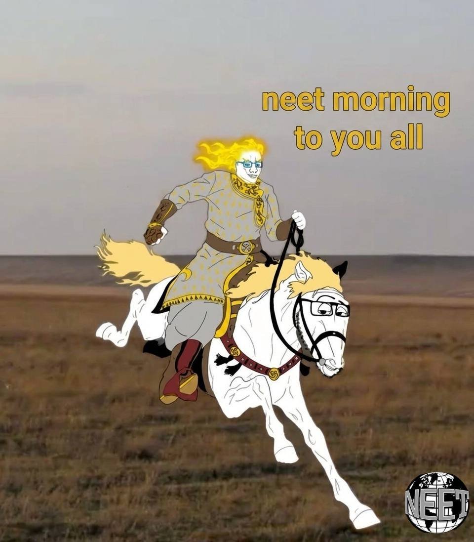 theneetguy's tweet photo. today will be a neet day https://t.co/nNWiOKJNqf