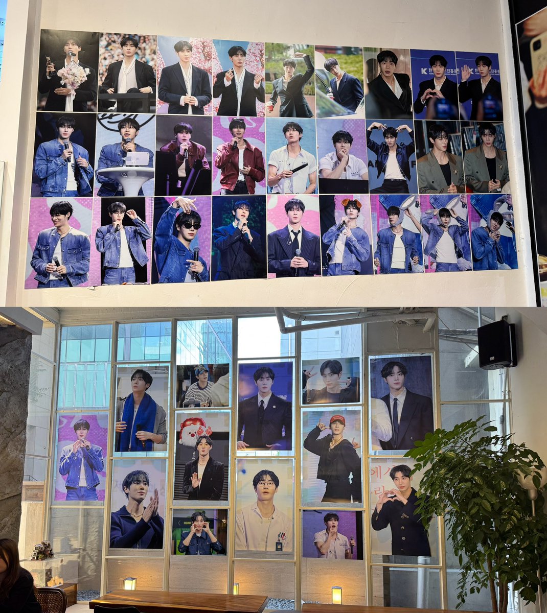 reallylikechoo's tweet photo. 영우 사진으로 가득 채워진 공간이었어요💙
공간도, 특전도 정말 예쁘고 정성 가득하게 준비되어 있어서 감탄했어요
이렇게까지 세심하게 준비해 주셔서 정말 감사해요
고생 많으셨습니다💙

#추여우
#셔터모먼트_추영우생일카페
#찰나_그속에머문너의시간 https://t.co/DCQ9VRpfRt
