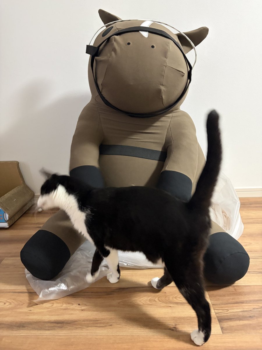 ukey1206's tweet photo. ついに届いたyogiboドウデュース
めちゃくちゃでかいね https://t.co/yeiUJ90VI1
