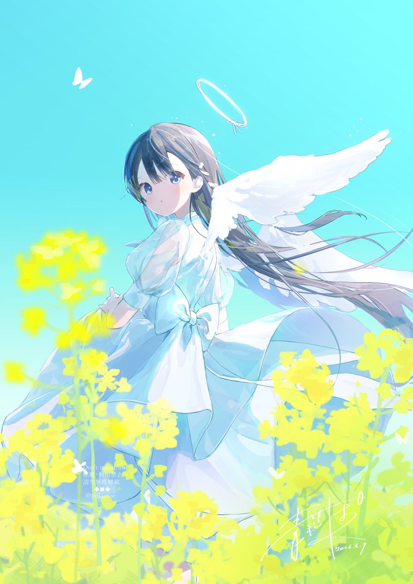 pokunoe's tweet photo. 菜の花畑の天使✧⁺.

#oc https://t.co/GfBaeGXy09