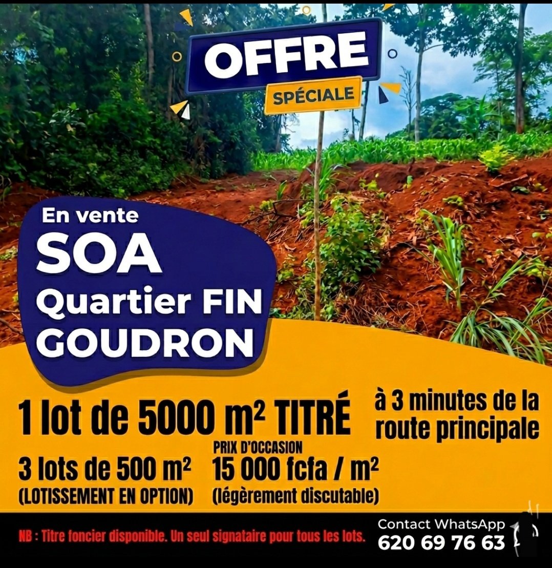 DieudonneBelom2's tweet photo. Pour ceux à la recherche d’un terrain . Sécurisé et bien placé .

Ville de soa fin goudron

1 lot 5000 m² 

3 lots 500 m² 

3 minutes de la route principale 

Titré  1 seul signataire 

Prix 15 000/m² ( légèrement discutable ( https://t.co/aGuj6JJgIq
