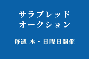 thoroughbred_ma's tweet photo. JRA3勝の準オープン馬モズマーヴェリックなど40頭が出品！

　注目馬は、モズマーヴェリック(牡・5歳)。父リアルスティール、母シーソルティキッスの全姉は三冠牝馬アパパネ、母父キングカメハメハという血統。通算成績は20戦3勝。セリ価格は2310万円

▼詳しくはコチラ
https://t.co/mRHzyKRtXS https://t.co/t3cv4vdRik