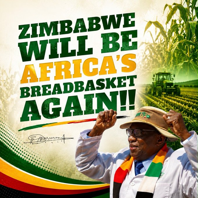 MatambaChido's tweet photo. Zimbabwe’s modern farming methods and strengthened agricultural financing are restoring confidence in production. The journey back to being Africa’s breadbasket is well underway, powered by innovation, investment, and resilient farmers.
#Vision2030 #CAB3Bhoo #FoodSecurity https://t.co/g8l6E8Z0Xt