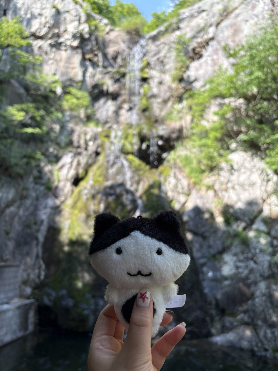mendokkun's tweet photo. 양산을 다녀왔고 
힐링을 하고 왔음 https://t.co/z68vv38wPk