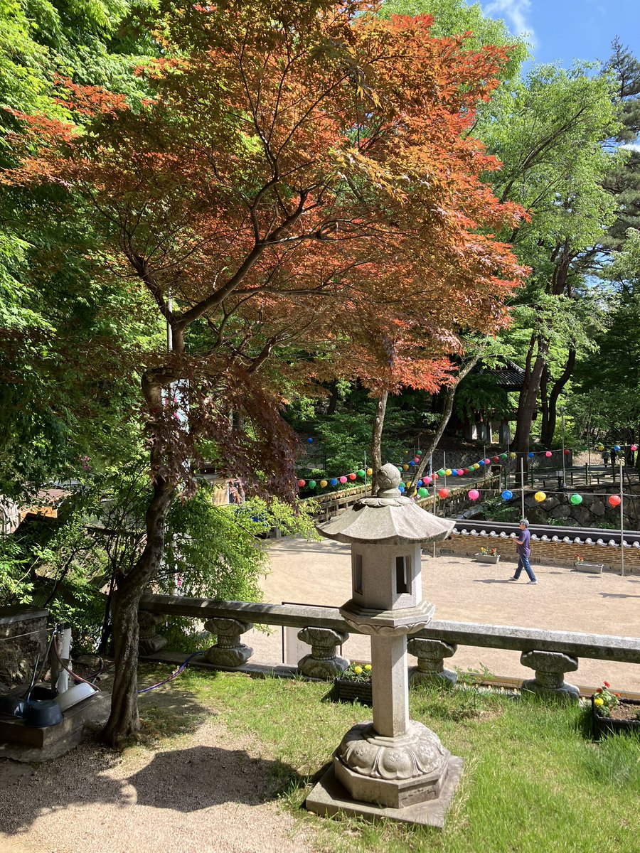 mendokkun's tweet photo. 양산을 다녀왔고 
힐링을 하고 왔음 https://t.co/z68vv38wPk