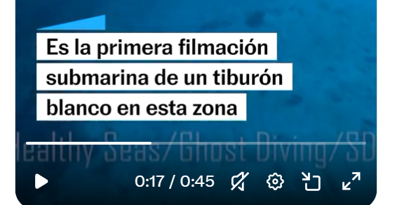 DrBioblogo's tweet photo. El tiburón blanco se ha observado infinidad de veces en el Mar Mediterráneo, está allí "desde siempre".
No es ninguna sorpresa y no es motivo para alarmarse. https://t.co/CIbFUnaOFb