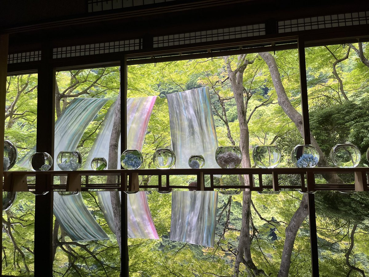 z_uum9's tweet photo. ちょっと前に京都に行ってきた。
嵐山にある祐斎亭めちゃくちゃよかった〜。
新しいほうのるろ剣のOP思い出す。 https://t.co/fxEJsrb04N