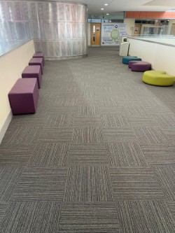 ParagonCarpets's tweet photo. At Bedfordshire College, Vital carpet tiles in Nickel upgraded classrooms and corridors, offering strength and a modern, hard-wearing finish in high-traffic areas. 

Request a sample: https://t.co/Bn7G6ROQsj https://t.co/afTR51cig3