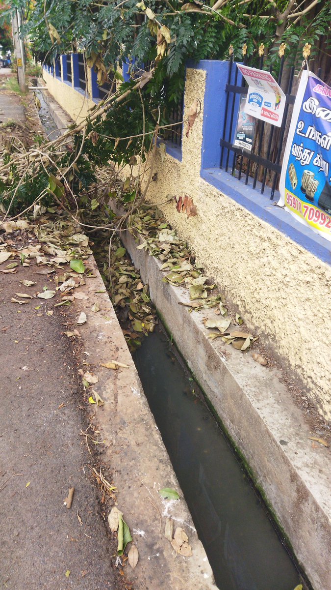 GokulThoughts's tweet photo. கோவை மாவட்டம் Ward No. 54 பகுதியில் ஒரு ஒரு மாதமும் இதே இதே ப்ரெட்ச்சனை.EB Shutdown நாள் அன்று EB wire அருகில் உள்ள மரகிளைகளை வெட்டுகிறேன் என்ற பெயரில் வெட்டி அப்படியே விட்டுவிட்டு செல்கிறார்கள். இதனால் சாக்கடை கால்வாய் அடைத்து 3 நாட்கள் ஆகியும் சரி செய்யப்படாமல் உள்ளது. #CBE https://t.co/MVaZ1ILgfl