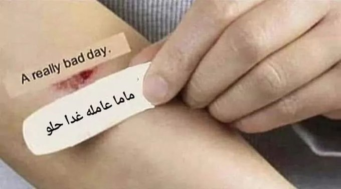 _ayaseleem's tweet photo. https://t.co/8OLXx1larb