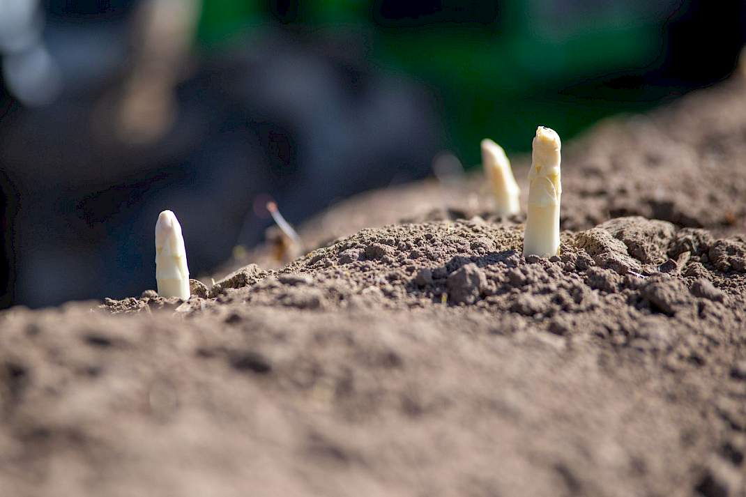 se_zuid's tweet photo. Mag een paardencentrum uitbreiden als stallen en stageverblijven mogelijk binnen de #spuitzone van een zachtfruit-en aspergeteler liggen? De Raad van State buigt zich over het conflict. 
https://t.co/bR6M7URIqx https://t.co/UYeJCcXgJG