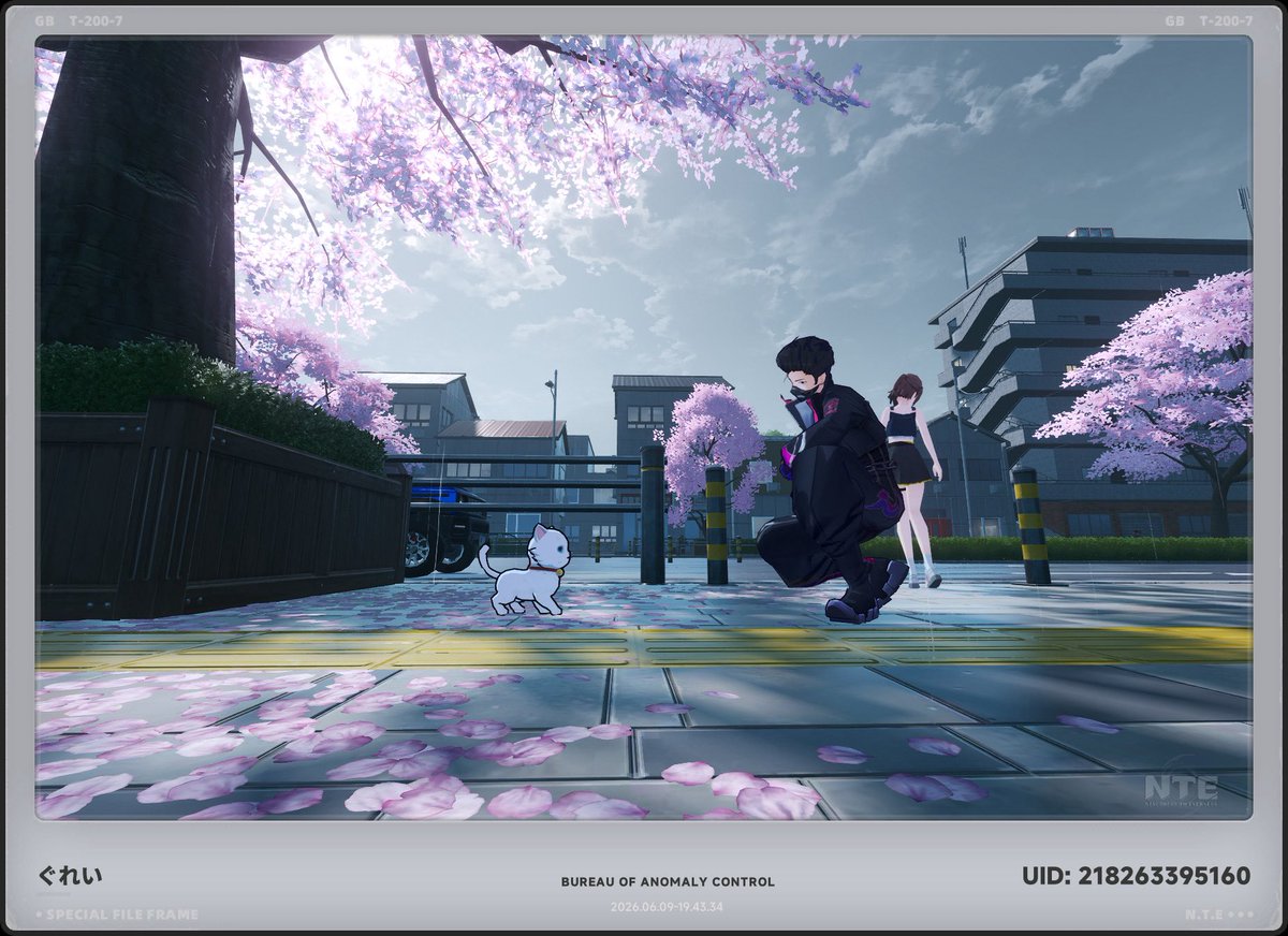 Iris tweet media