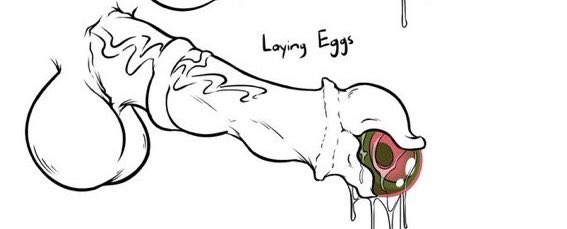 GR1MMHORNET's tweet photo. @GiveQuest Hornet is now very mad at the Board that this isn’t an actual quest.

The Weaver is basically leaking eggs from the thought of having to face so many Reptilian Women. https://t.co/fi8vKpvcPh