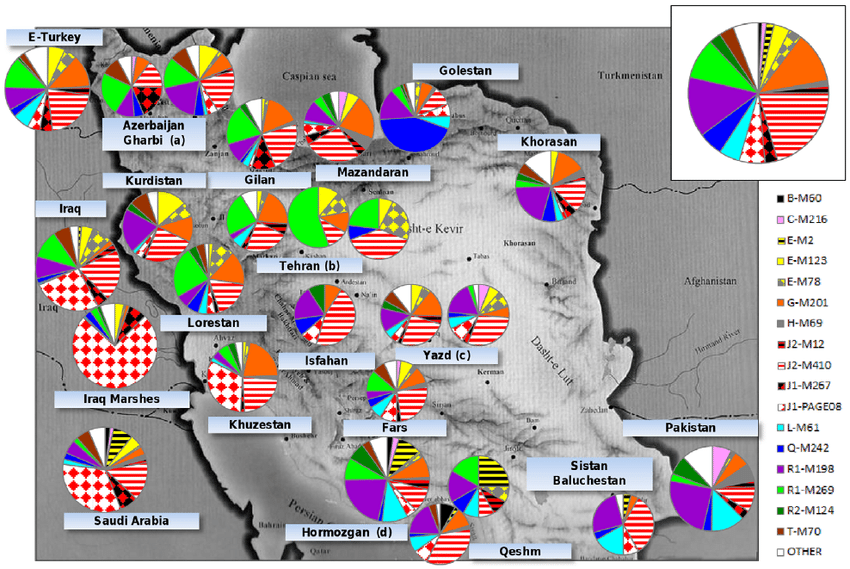 KalfCoij's tweet photo. Did you know? The Mazandaran region in northern Iran shows the highest frequency of the C5 haplogroup among Iranian populations, according to genetic studies. 🧬🇮🇷 #Genetics #Iran #Mazandaran #Haplogroup https://t.co/Pr5F6vxR0C