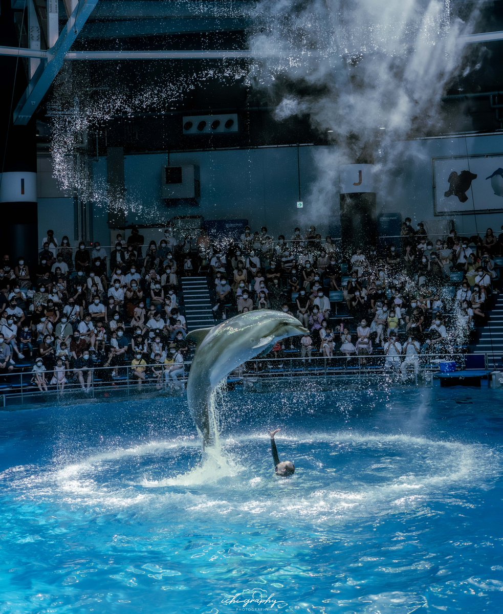 ichi_graphy's tweet photo. 夏の魔法 https://t.co/PMS1fz4wxz
