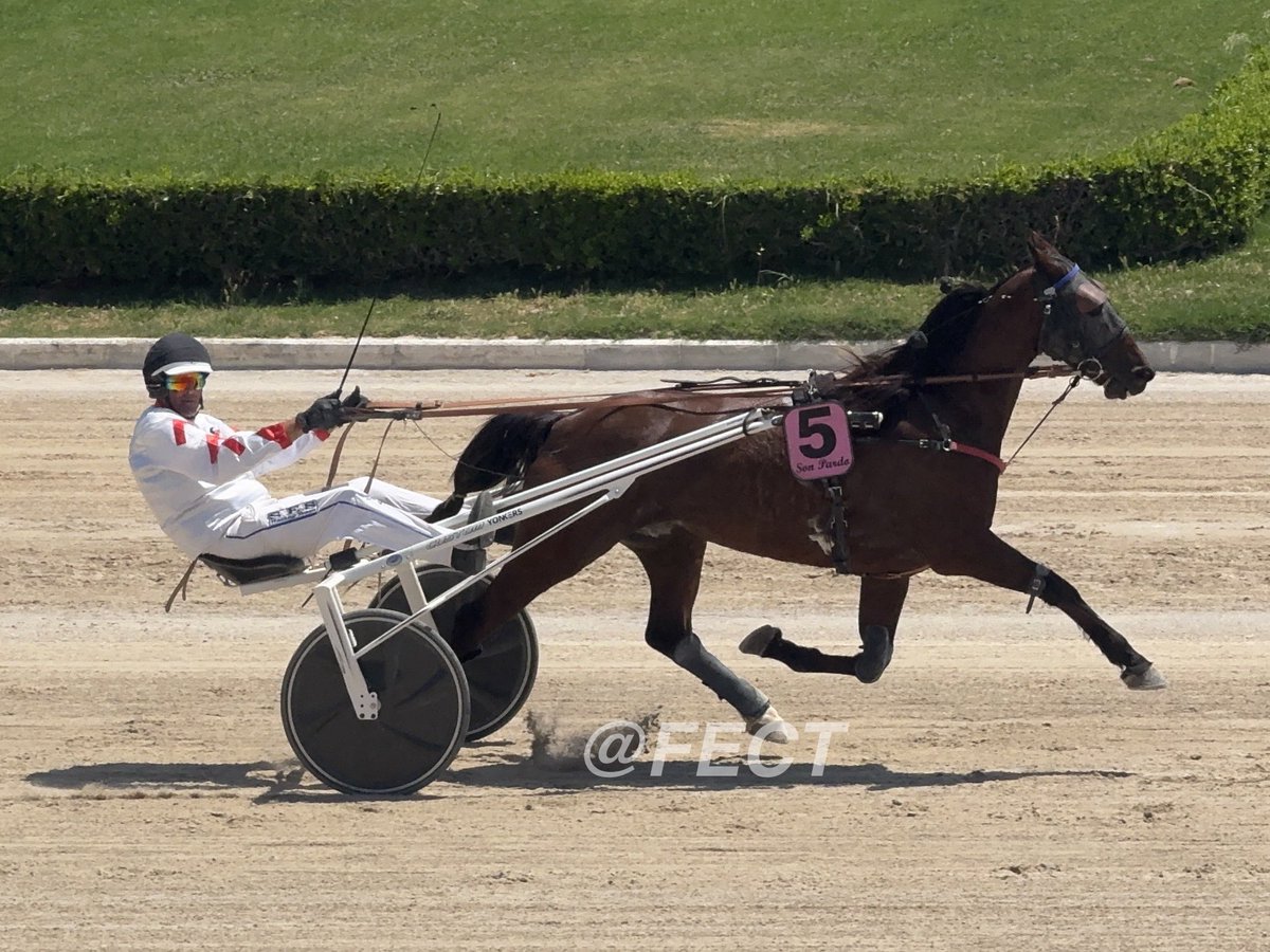 FBTROT's tweet photo. 🏁 Resultado definitivo:
Carrera 4️⃣ Premi FOX M (PREMIUM)
📅 9/06/2026
🏟️ #hipodromoSonPardo

🥇 5-IBISCUS DE MAHEY 1’17”4
🥈 2-KAA DE FONTAINE 1’17”6
🥉 4-JOUNA DE LAURMA 1’17”6
4️⃣ 6-HOLD UP MESSI https://t.co/x3kmKVvbfT