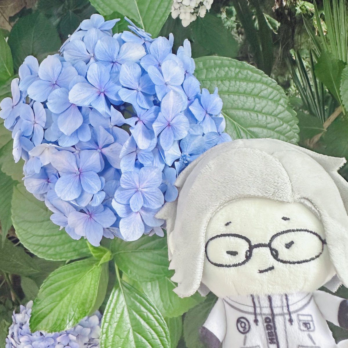 hundredcola's tweet photo. Showed my homunculus the wonders of nature today bc I love him 🪻 https://t.co/tbp1YEUrka