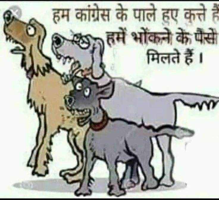 anilsinghgkp041's tweet photo. मै विपक्ष के साथ हूँ मेरा काम भौकना है इसलिये भौक रहा हूं.प्रशांत भूषण https://t.co/XJO0oWM218
