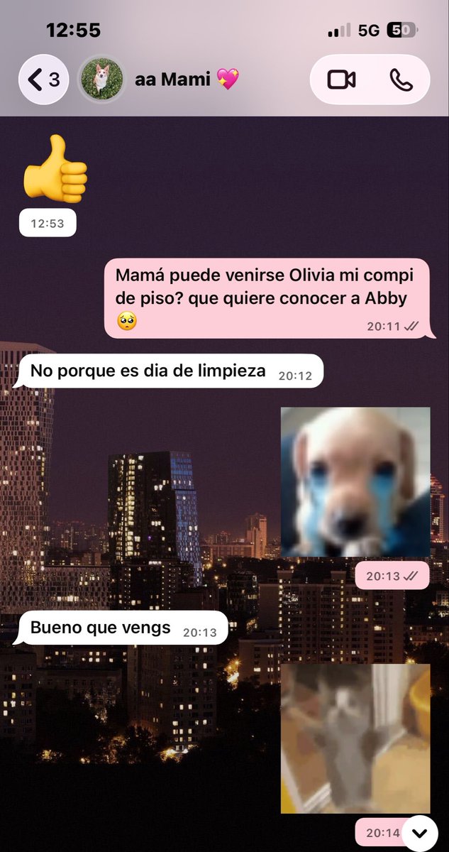 toohater___'s tweet photo. el poder de un sticker, qué barbaridad https://t.co/itN8Orv7el