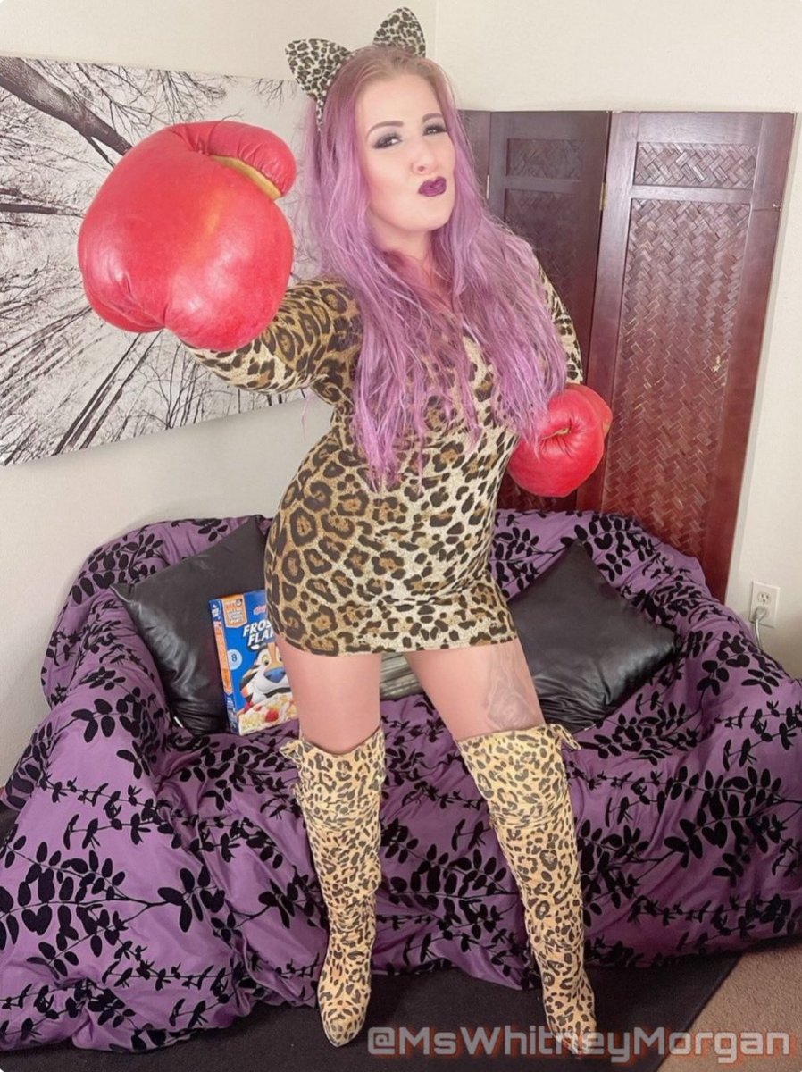 pyncster's tweet photo. Time for some foxy boxing?  @MsWhitneyMorgan 
https://t.co/HemvXDVJSE
Femdom.  Fetish.  Findom.  Fight. https://t.co/iKnidKsCEO