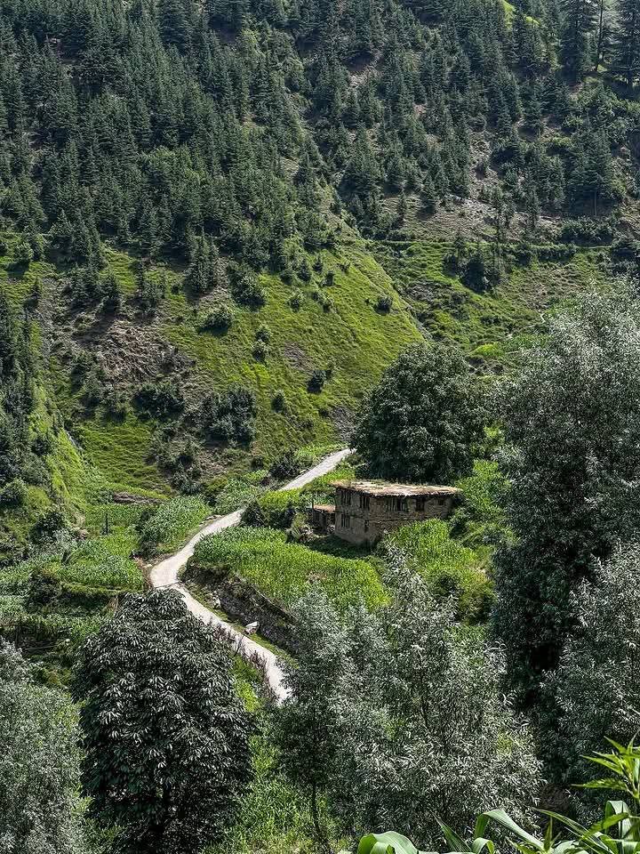 Dr_Dilbar_'s tweet photo. Dudran — the “milk village” of Kashmir 🐄⛰️

Tucked away in border tehsil boniyar of District Baramulla, this dreamy hamlet lives by age-old traditions where cattle still graze freely, streams sing softly, and dairy is preserved in a way few have seen — in underground doud khots. https://t.co/2j6TQkLLyI