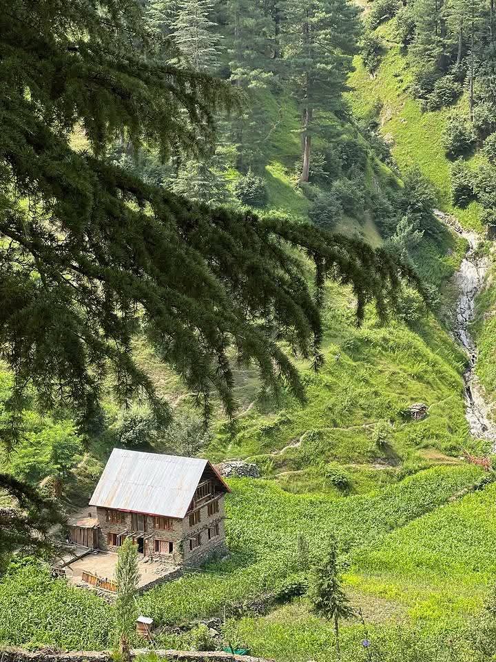 Dr_Dilbar_'s tweet photo. Dudran — the “milk village” of Kashmir 🐄⛰️

Tucked away in border tehsil boniyar of District Baramulla, this dreamy hamlet lives by age-old traditions where cattle still graze freely, streams sing softly, and dairy is preserved in a way few have seen — in underground doud khots. https://t.co/2j6TQkLLyI