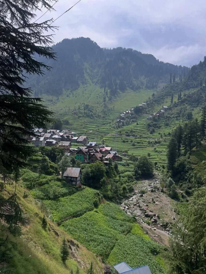 Dr_Dilbar_'s tweet photo. Dudran — the “milk village” of Kashmir 🐄⛰️

Tucked away in border tehsil boniyar of District Baramulla, this dreamy hamlet lives by age-old traditions where cattle still graze freely, streams sing softly, and dairy is preserved in a way few have seen — in underground doud khots. https://t.co/2j6TQkLLyI